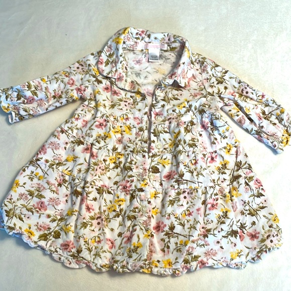 Janie and Jack Other - Janie and jack fall dress 3-6 months ! Beautiful flowers printed!